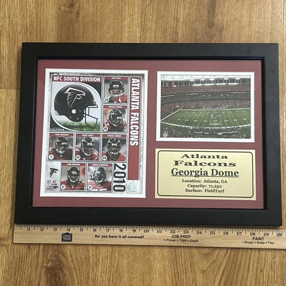 Vtg Atlanta Falcons  NFC 2010 Georgia Dome Field Turf Framed Wall Hanging Plaque